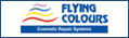 vehicle paint repair franchise
