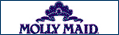 cleaning Franchise