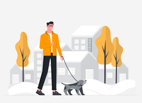 start dog walking business