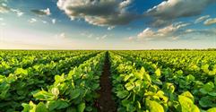 How to Buy an Agricultural Supply Business