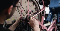 Sector Spotlight: Bicycle Shop