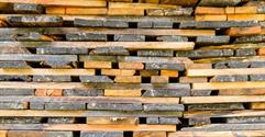 How to Run a Sawmill Business in South Africa 