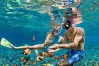 thriving tour company playa - 2