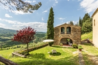 renovated hamlet with wine - 3