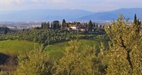 farm estate with vineyards - 1