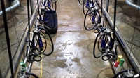 premium dairy farm - 2