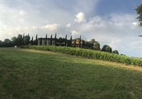 tuscan winery montepulciano - 3