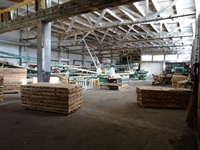 sawmill wood processing facility - 2
