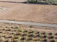 1-hectare land authorized project - 1