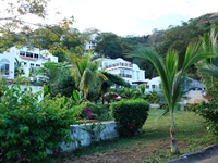 established ocean view business - 1