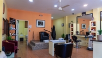 established beauty hair salon - 2
