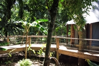 belize jungle luxury glamping - 3