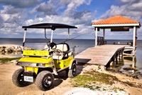 island golf cart tourist - 3