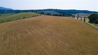 tuscan estate of 700 - 3