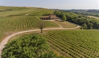 winery montalcino for sale - 2