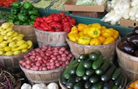romanian vegetable processing unit - 1