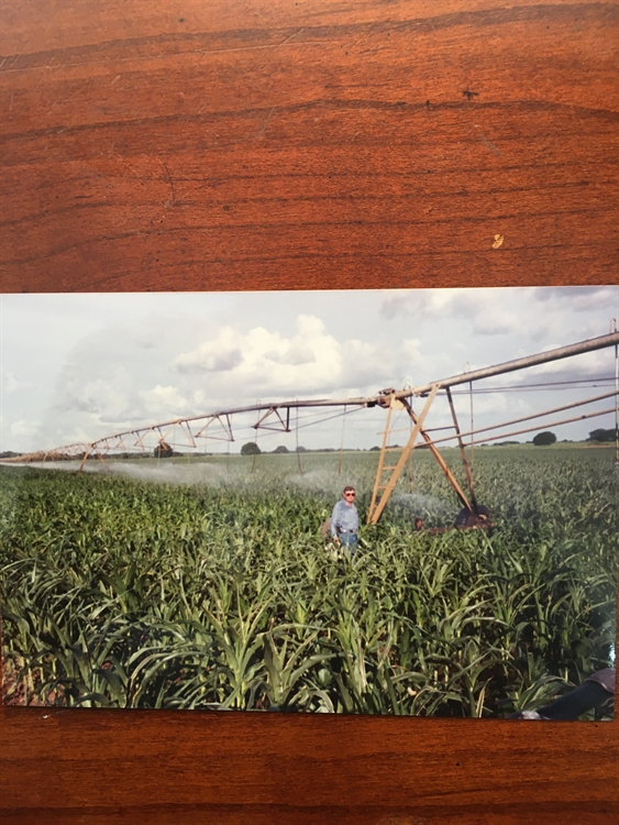 Buy a fertile 2,600 acre farm, 350.00 per acre in bolivar for sale