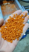 plastic recycling production company - 1