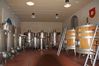 organic wine estate grosseto - 2