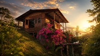 private jungle eco-lodge near - 3