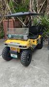 golf cart rental company - 1