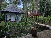 loboc ecolodge bohol - 1