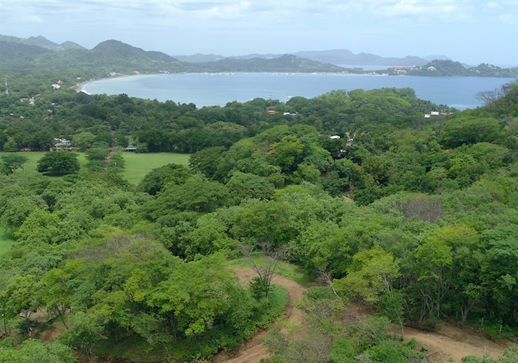 Buy an ocean view commercial lot potrero with four terraces