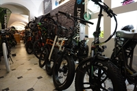 profitable established bike tourism - 3