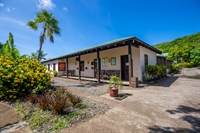 a caribbean lifestyle business - 1