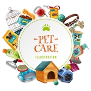 established pet daycare services - 1
