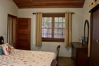 tropical gem providing cozy - 3