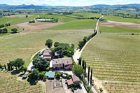 wine estate with a - 2