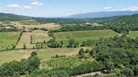 wine estate tuscany - 2