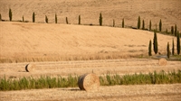 tuscan estate of 700 - 2