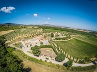 wine estate tuscany - 3