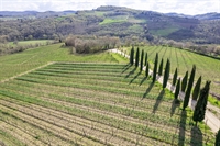 prestigious organic winery the - 2