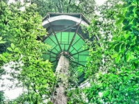 world's most amazing treehouse - 2