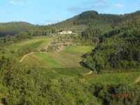 ancient estate with 116 - 1