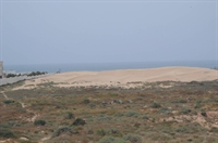 ha land on beach - 3