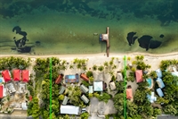 green parrot beach resort - 2