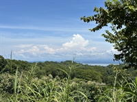 ocean view lot jungle - 3