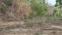 panoramic ocean view lot - 3
