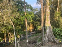 costa rica hot springs - 1