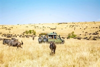 online african travel agency - 1