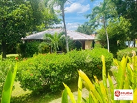 home ideal for rent - 2