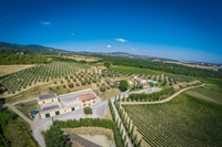 wine estate tuscany - 2