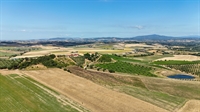 farm with vineyards tuscany - 1
