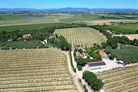 wine estate with a - 3
