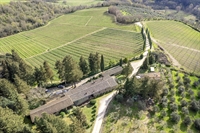 prestigious organic winery the - 1
