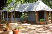 belize jungle luxury glamping - 1